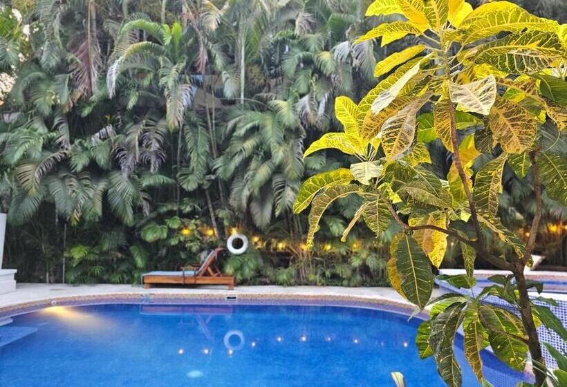 Dreamcatcher Hotel   Atrapasueños