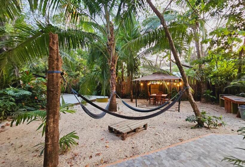 Dreamcatcher Hotel   Atrapasueños