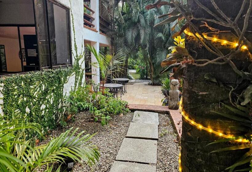 Dreamcatcher Hotel   Atrapasueños