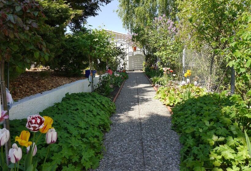 هتل Pension Mittag