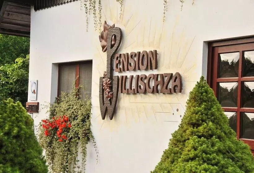 هتل Pension Willischza