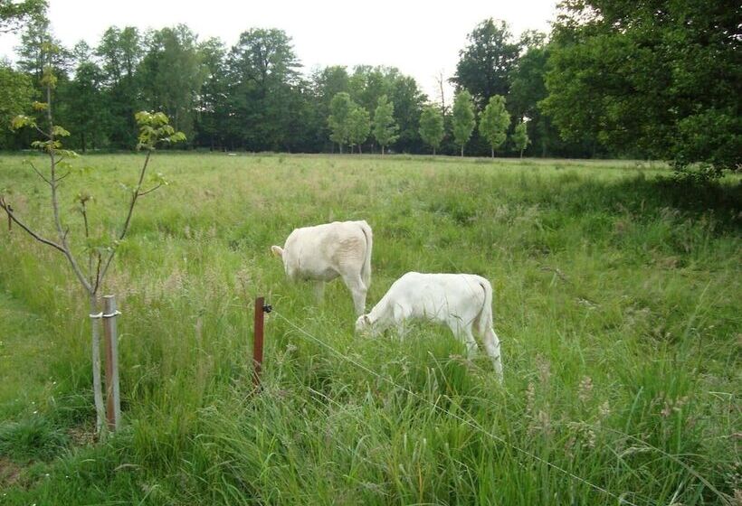 호텔 Pension Willischza