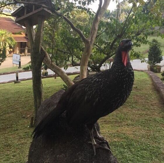 فندق Pousada Pomerode