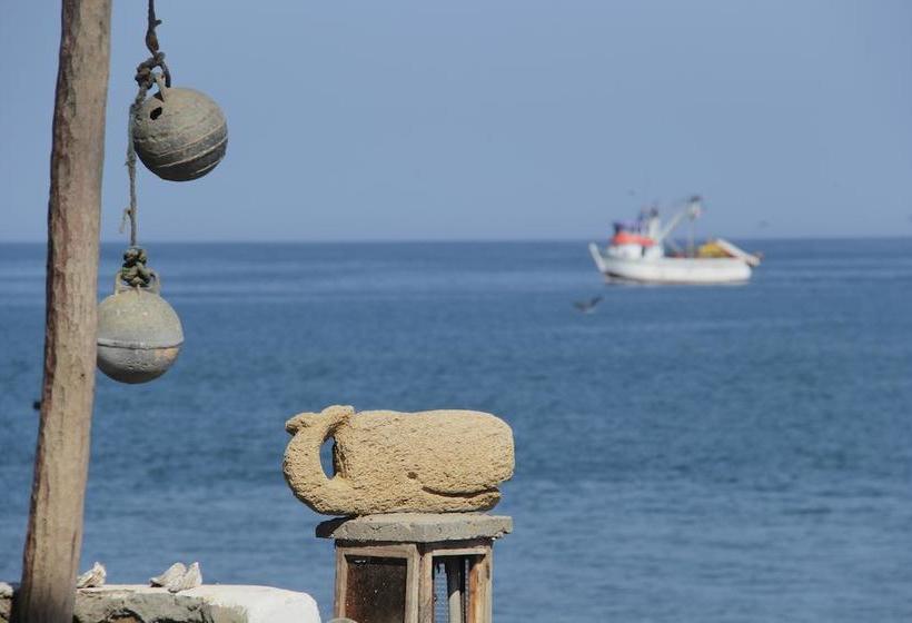 فندق Punta Ballenas Inn  Máncora
