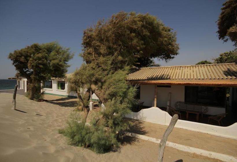 فندق Punta Ballenas Inn  Máncora