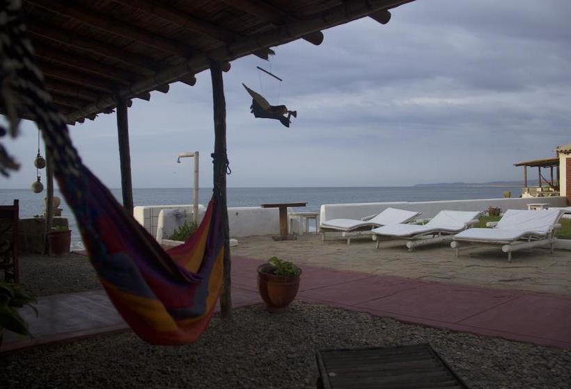 فندق Punta Ballenas Inn  Máncora