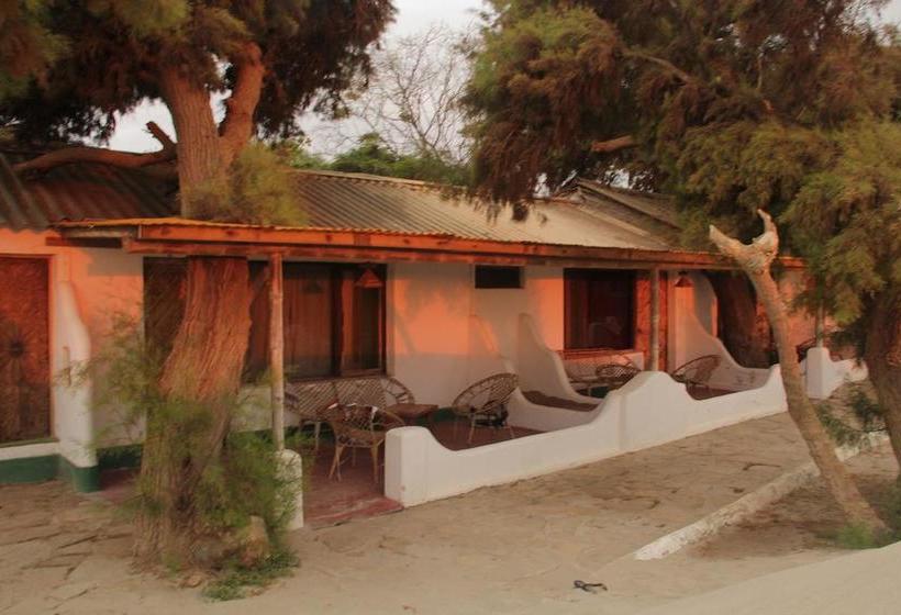 فندق Punta Ballenas Inn  Máncora