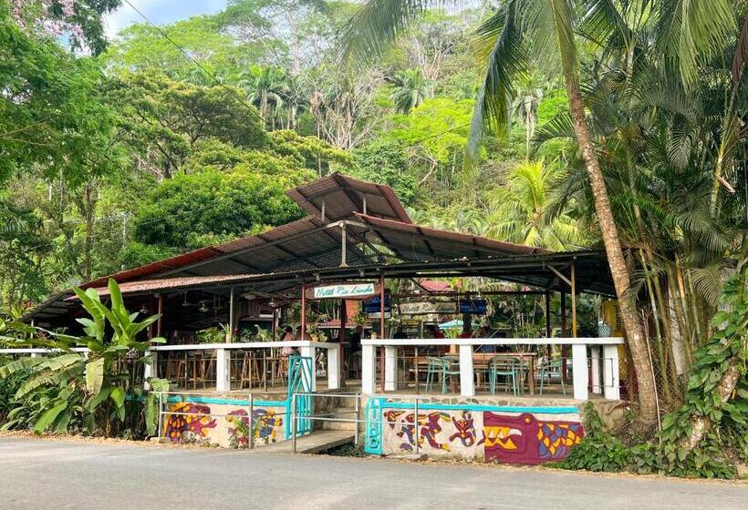 Отель Rio Lindo