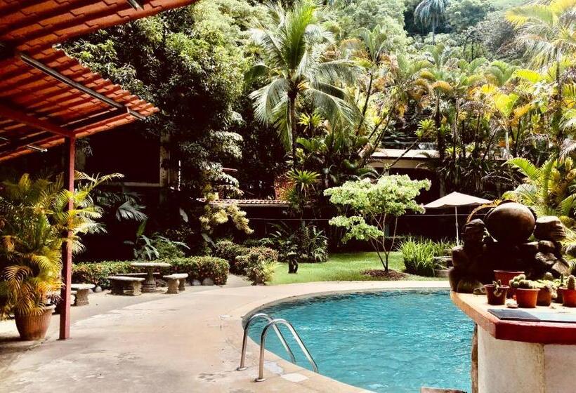 Отель Rio Lindo