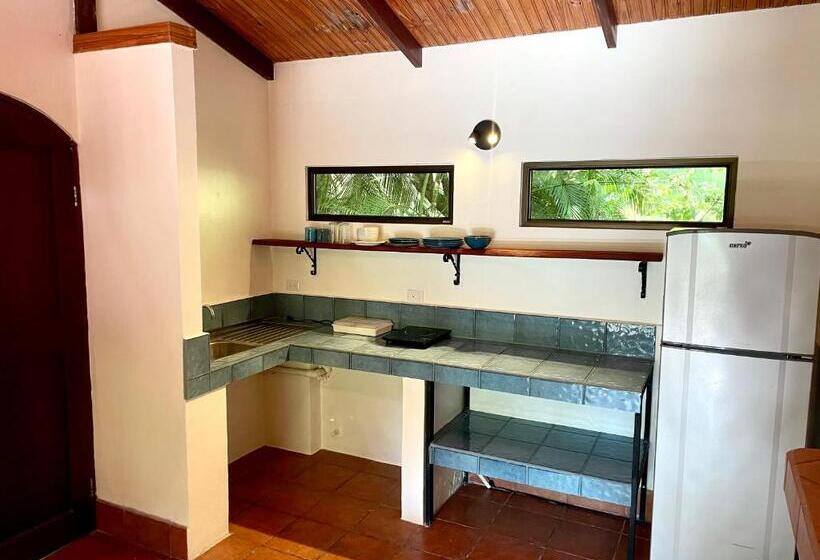 Отель Rio Lindo