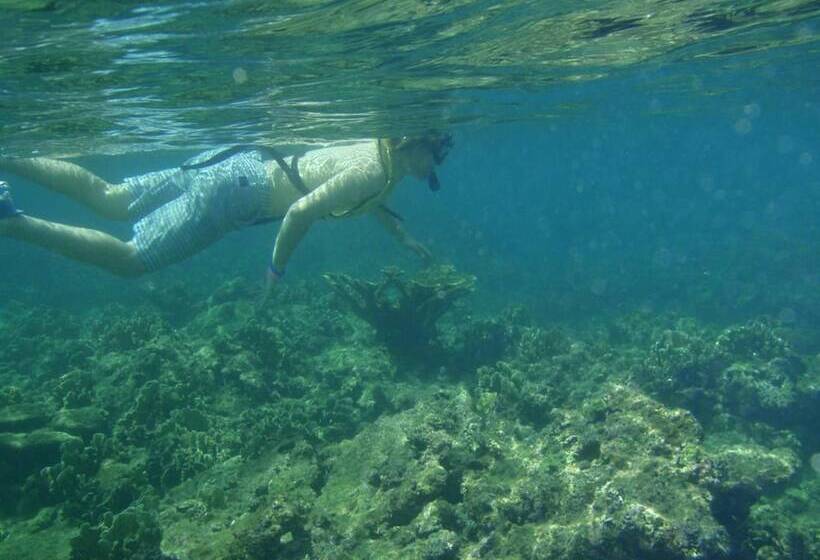 فندق Scubaportobello