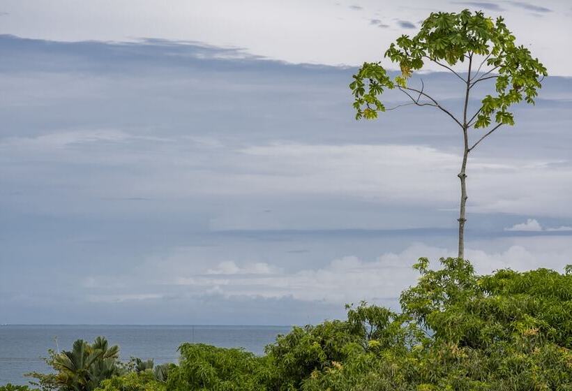 בית מלון כפרי Sea Towers