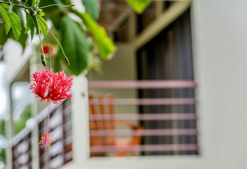 בית מלון כפרי Sea Towers