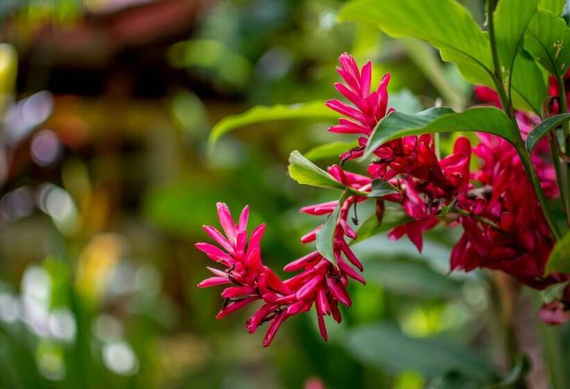 בית מלון כפרי Sea Towers