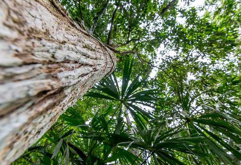 בית מלון כפרי Sea Towers