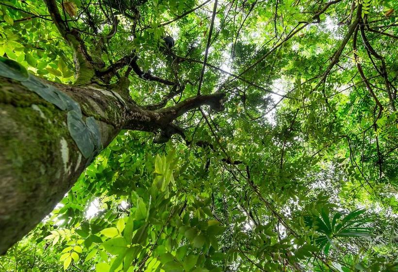 בית מלון כפרי Sea Towers