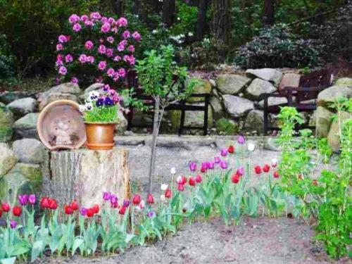 فندق Tannenspitze