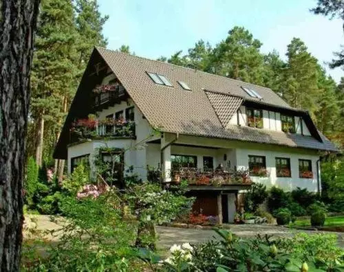Hotelli Tannenspitze
