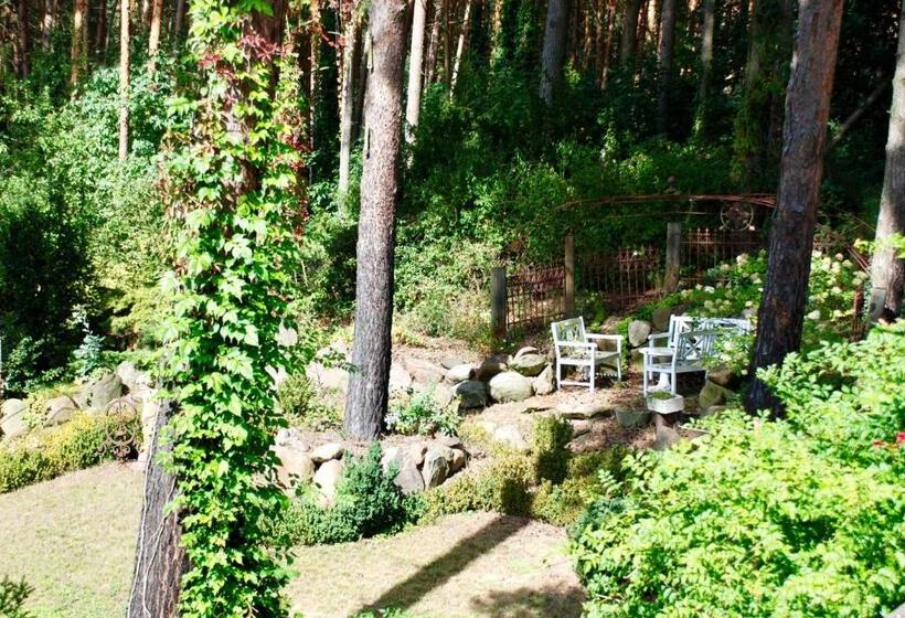 فندق Tannenspitze