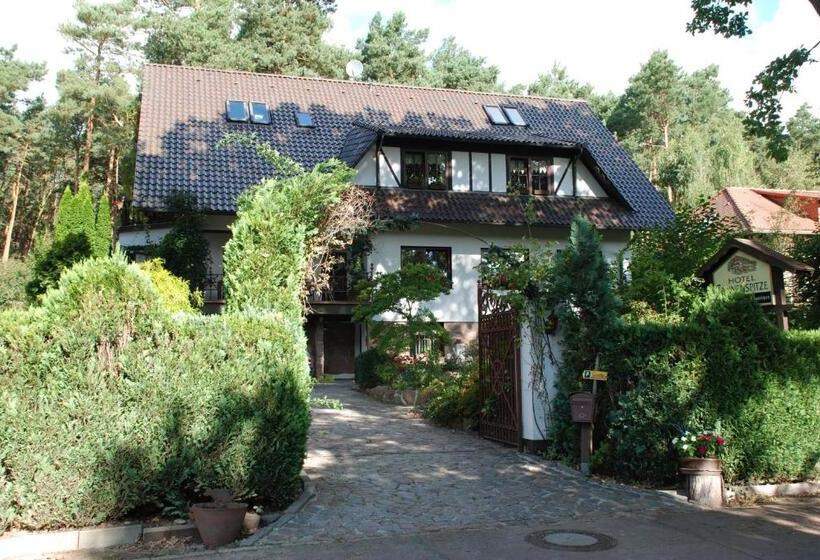 فندق Tannenspitze