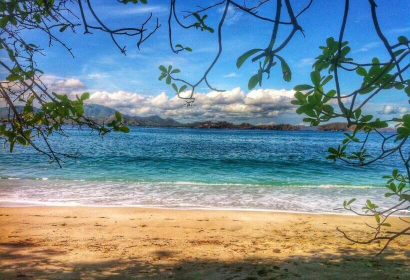 In The Shade Hotel Coworking 300mbit Adults Only