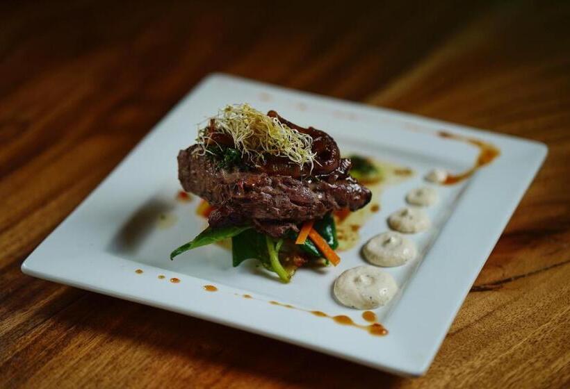 In The Shade Hotel Coworking 300mbit Adults Only