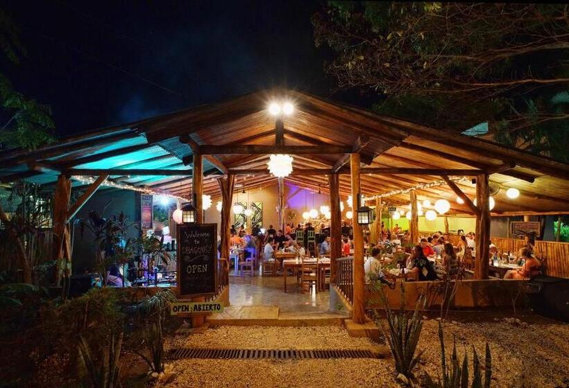 In The Shade Hotel Coworking 300mbit Adults Only