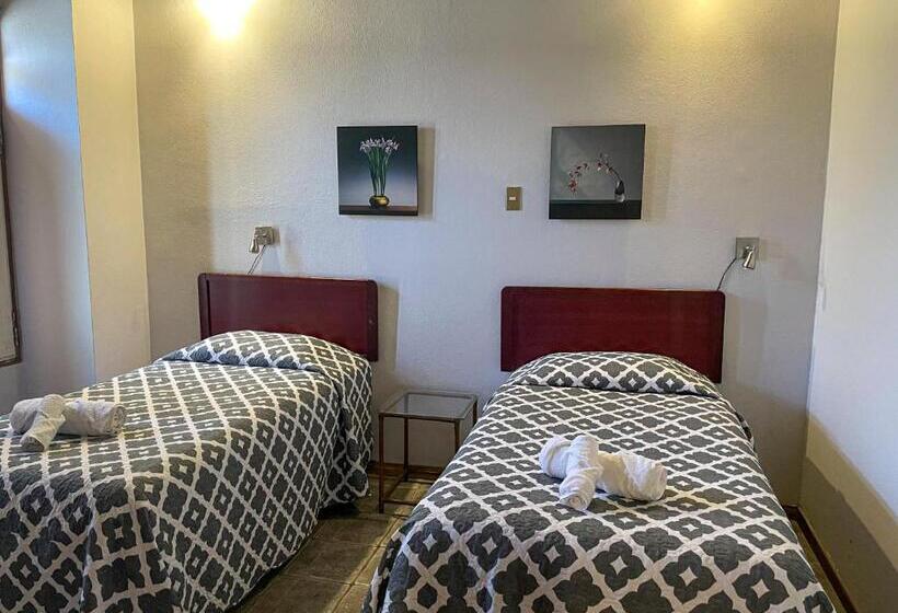 ホテル Ave Del Paraíso