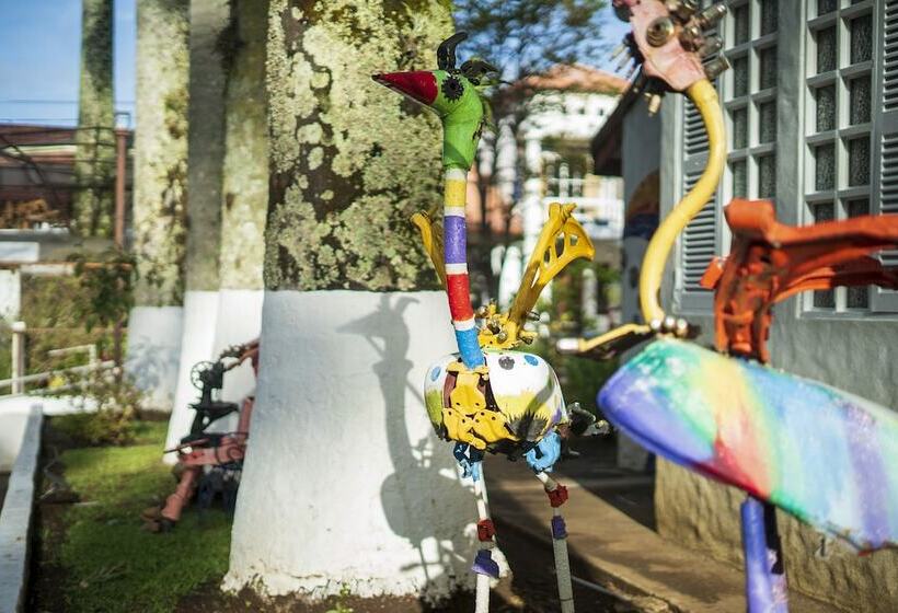 ホテル Ave Del Paraíso