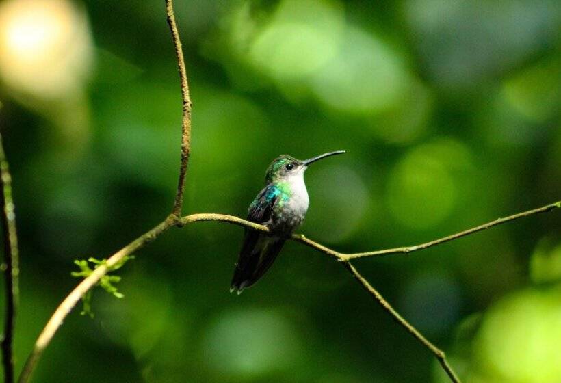 Отель Banana Bay Marina