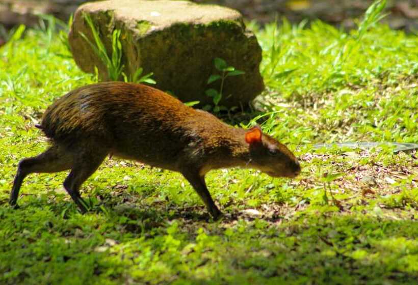 Отель Banana Bay Marina