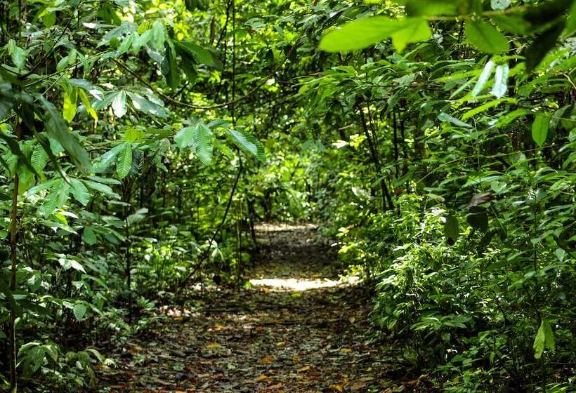 Отель Banana Bay Marina