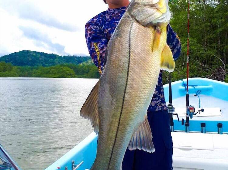 Отель Banana Bay Marina