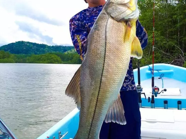 هتل Banana Bay Marina