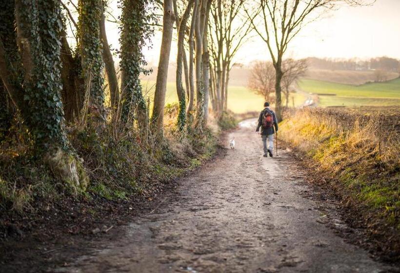 ホテル B&b Brakke Berg