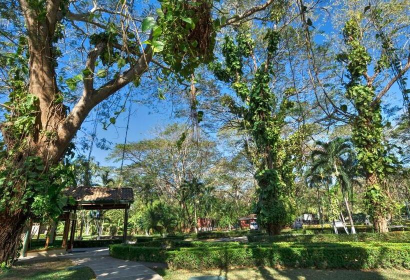 酒店 Cc Beach Front Papagayo All Inclusive