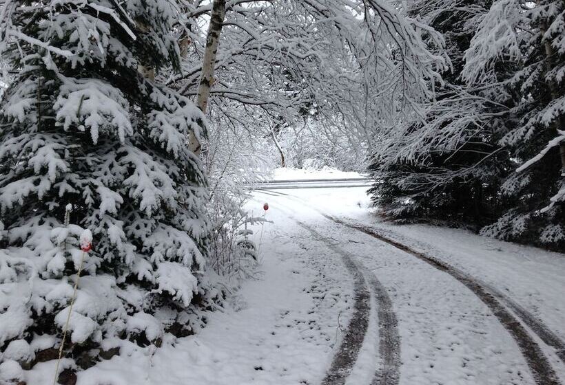 هتل Chalets & Studios Le Vent Du Nord