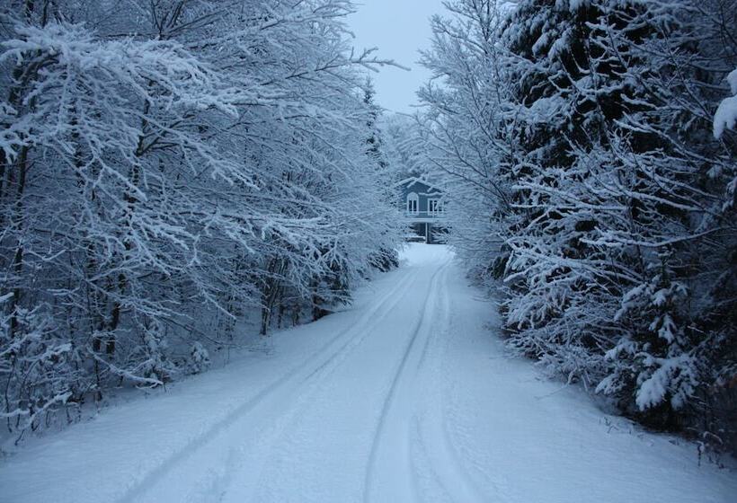 هتل Chalets & Studios Le Vent Du Nord