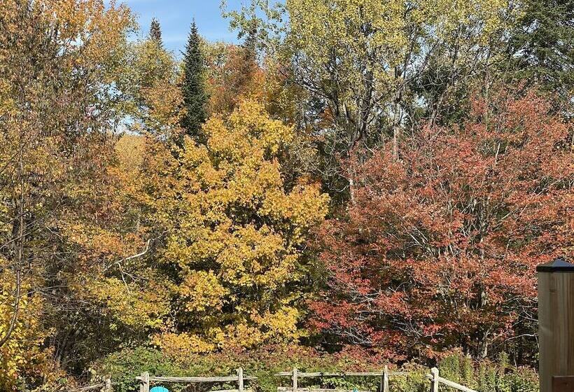 هتل Chalets & Studios Le Vent Du Nord