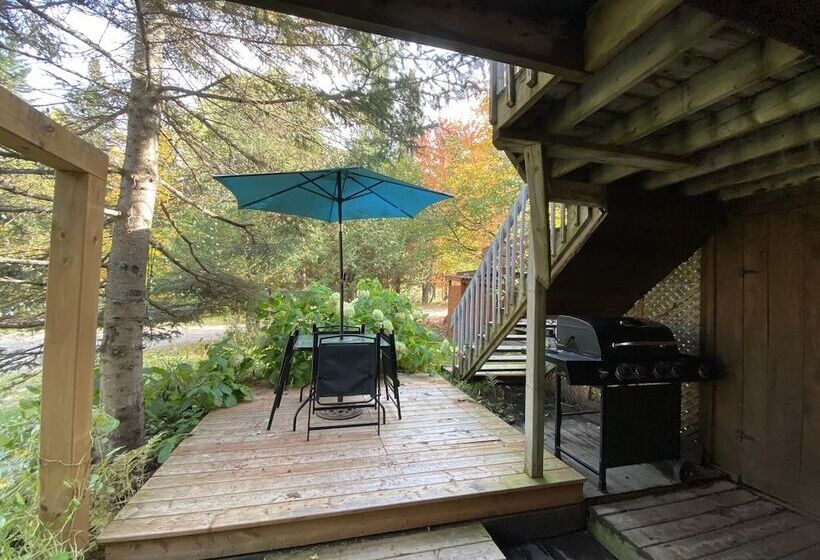 هتل Chalets & Studios Le Vent Du Nord