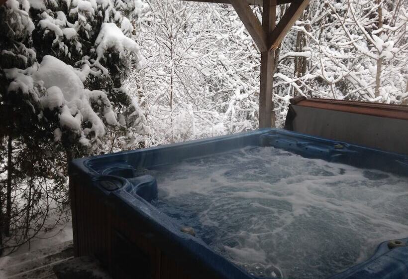 هتل Chalets & Studios Le Vent Du Nord