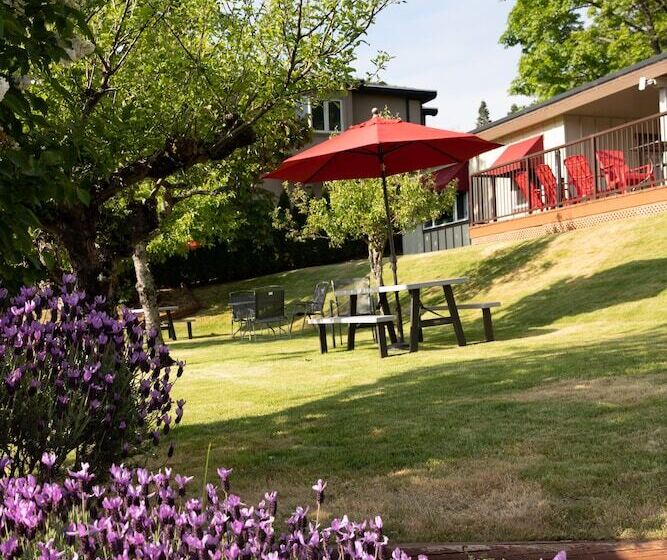 酒店 Cherry Tree Inn Victoria