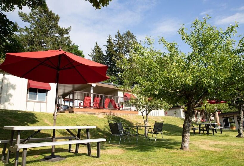 酒店 Cherry Tree Inn Victoria