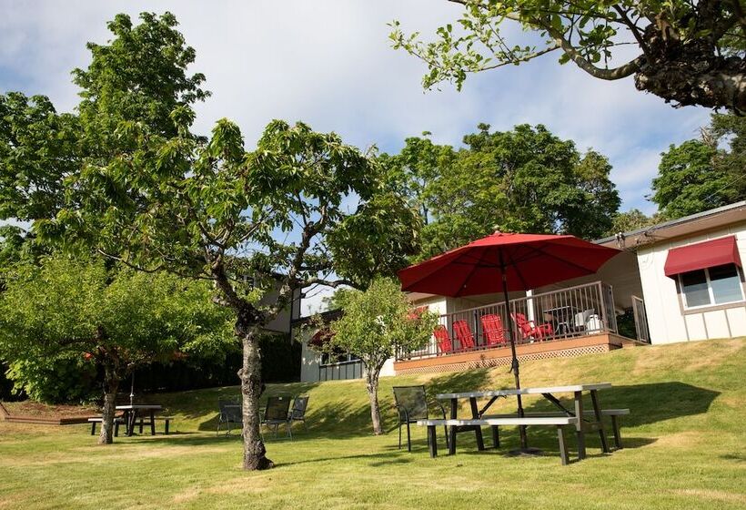 酒店 Cherry Tree Inn Victoria