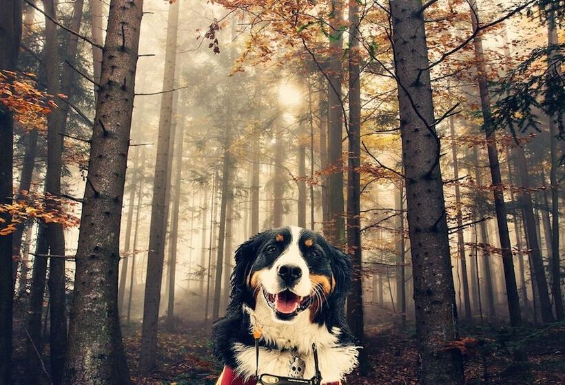 فندق Domaine Summum