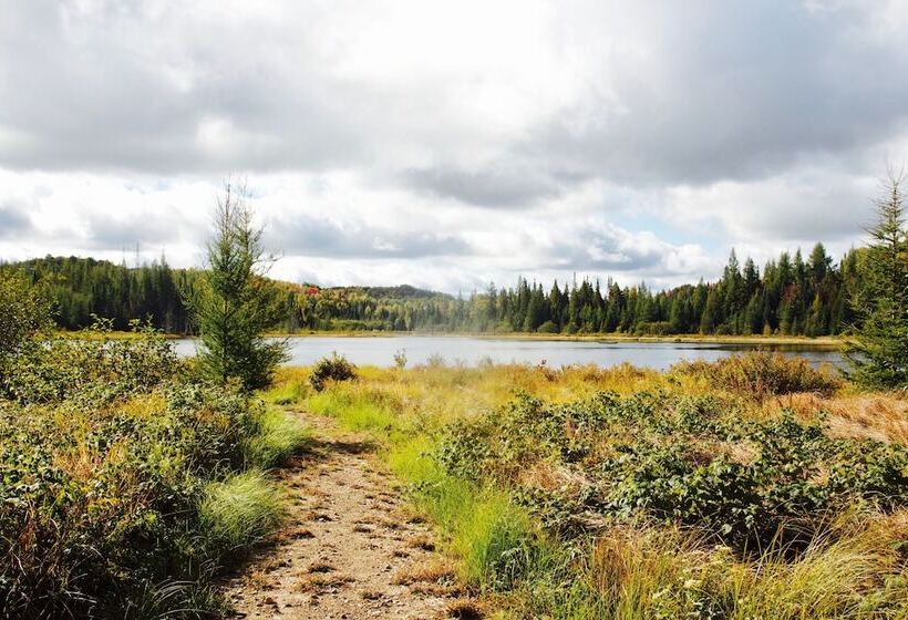 فندق Domaine Summum