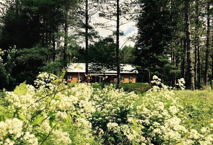 فندق Domaine Summum