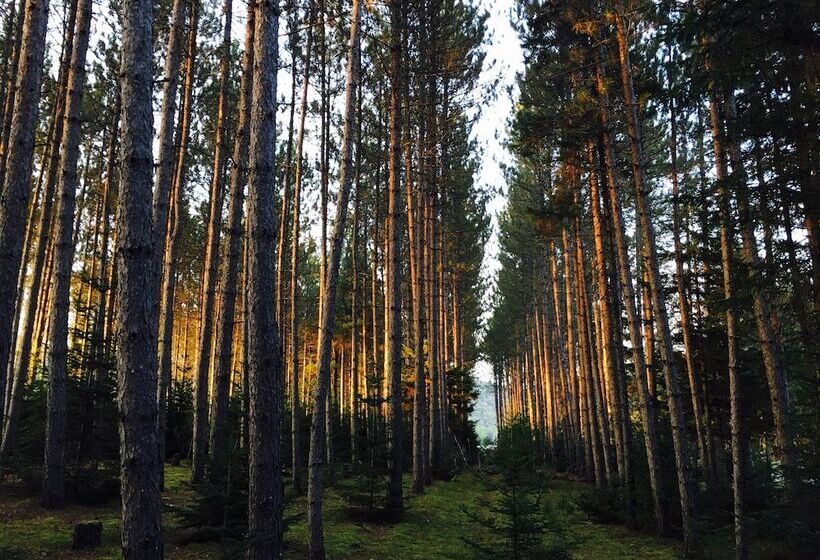 فندق Domaine Summum