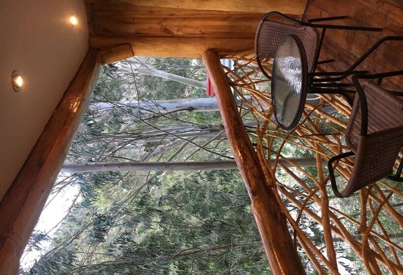 Hotel Eco Quechua Lodge