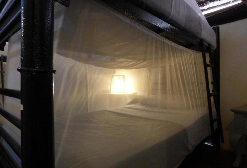 Hotel & Hostel El Punto